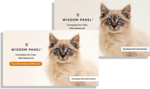 Bundle of two Wisdom Panel™ Complete for Cats kits