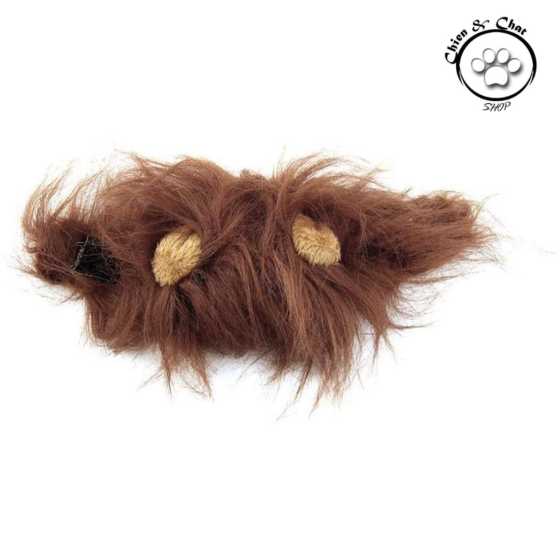 Criniere Lion Pour Chat Chien Chien Chat