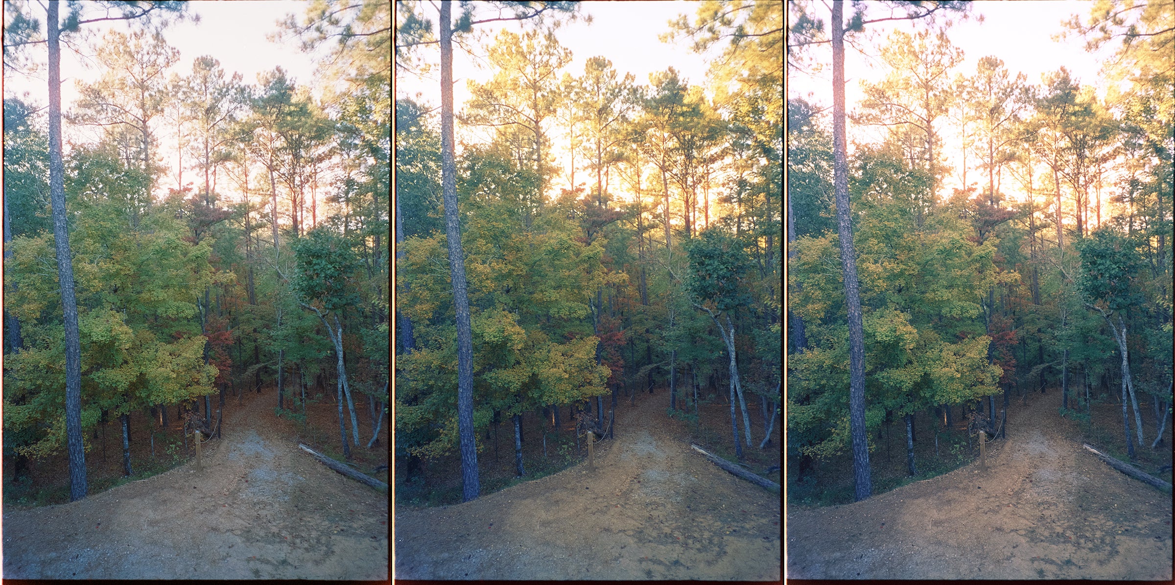 a more automated process by applying Photoshop’s Auto Tone (command+shift+L) and then Auto Color (command+shift+B) tools to see if it could fix the color cast and kept the s-curve for contrast