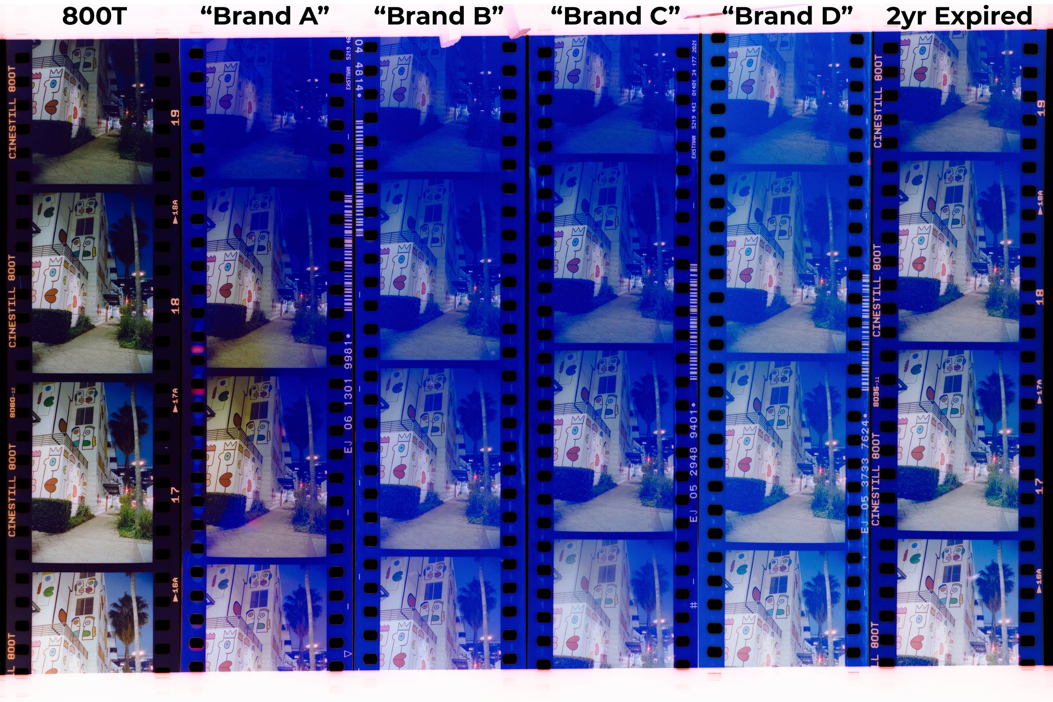 Samples scanned together on a light table, processed in the same tank with in-date and expired 800T as controls. Most imitations are equally fogged to varying degrees and some are uneven, but all have reduced effective film-speed.
