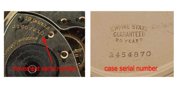 Watch's Serial Number