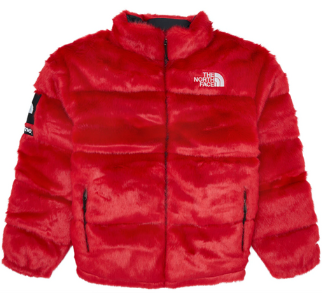 north face nuptse fur