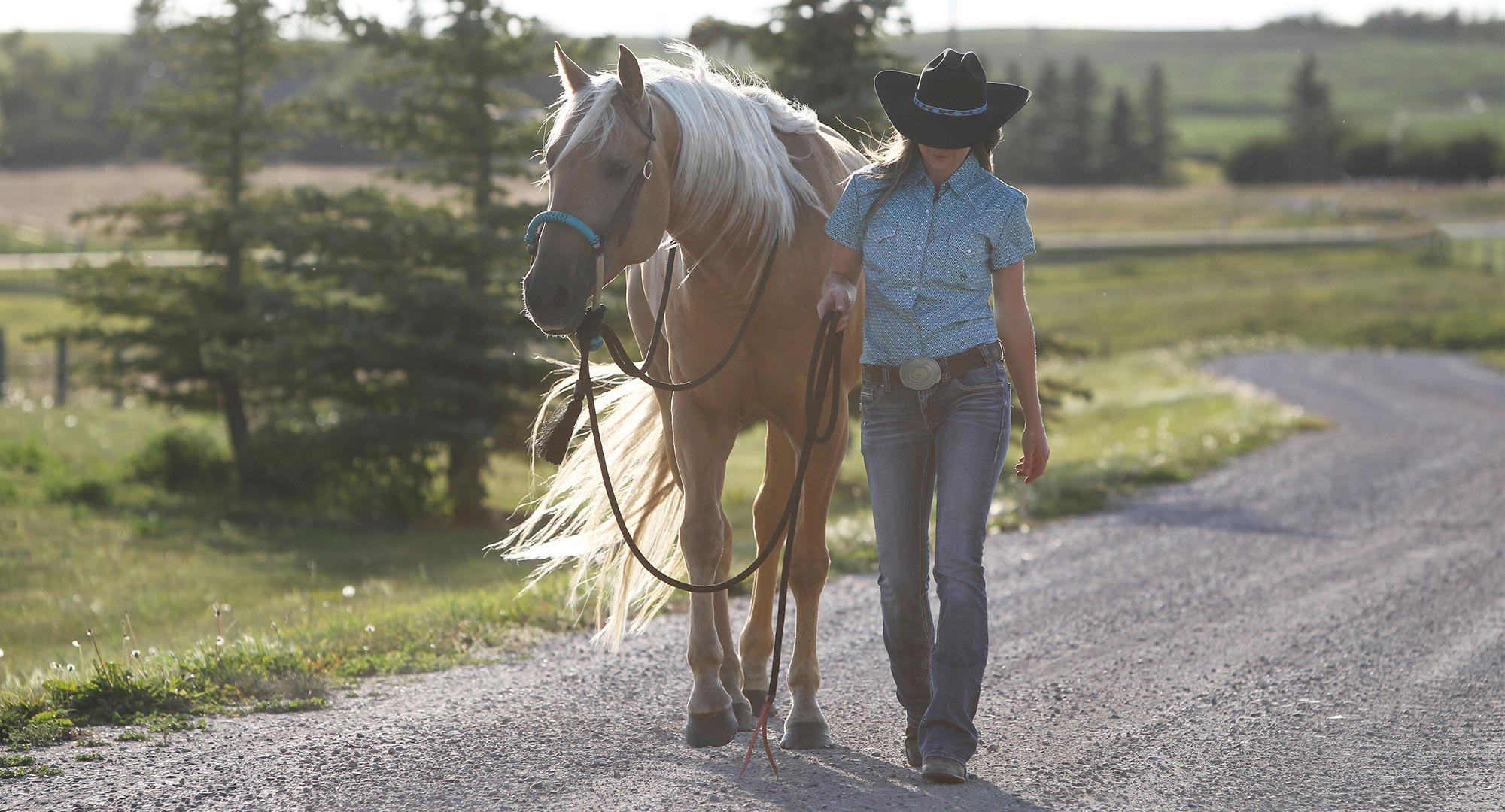 Ambers Animals Amber Marshall