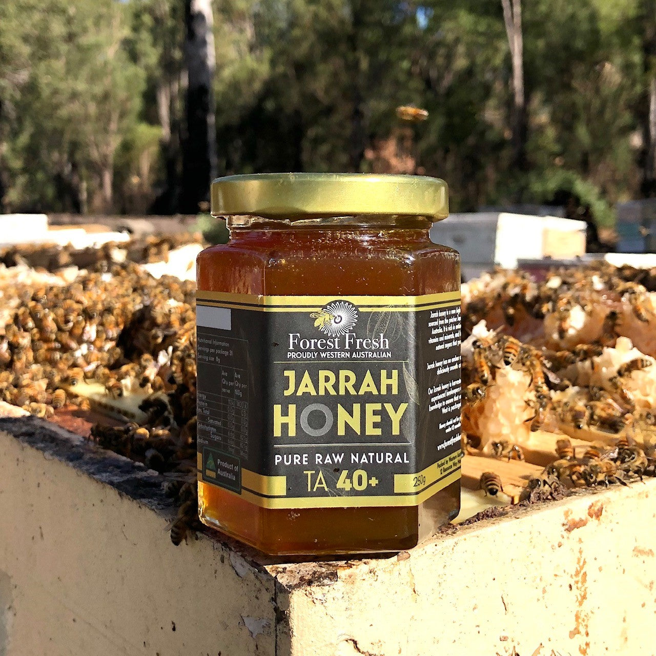 Premium Active Jarrah Honey Pure Raw 100 Natural Forest Fresh Honey 