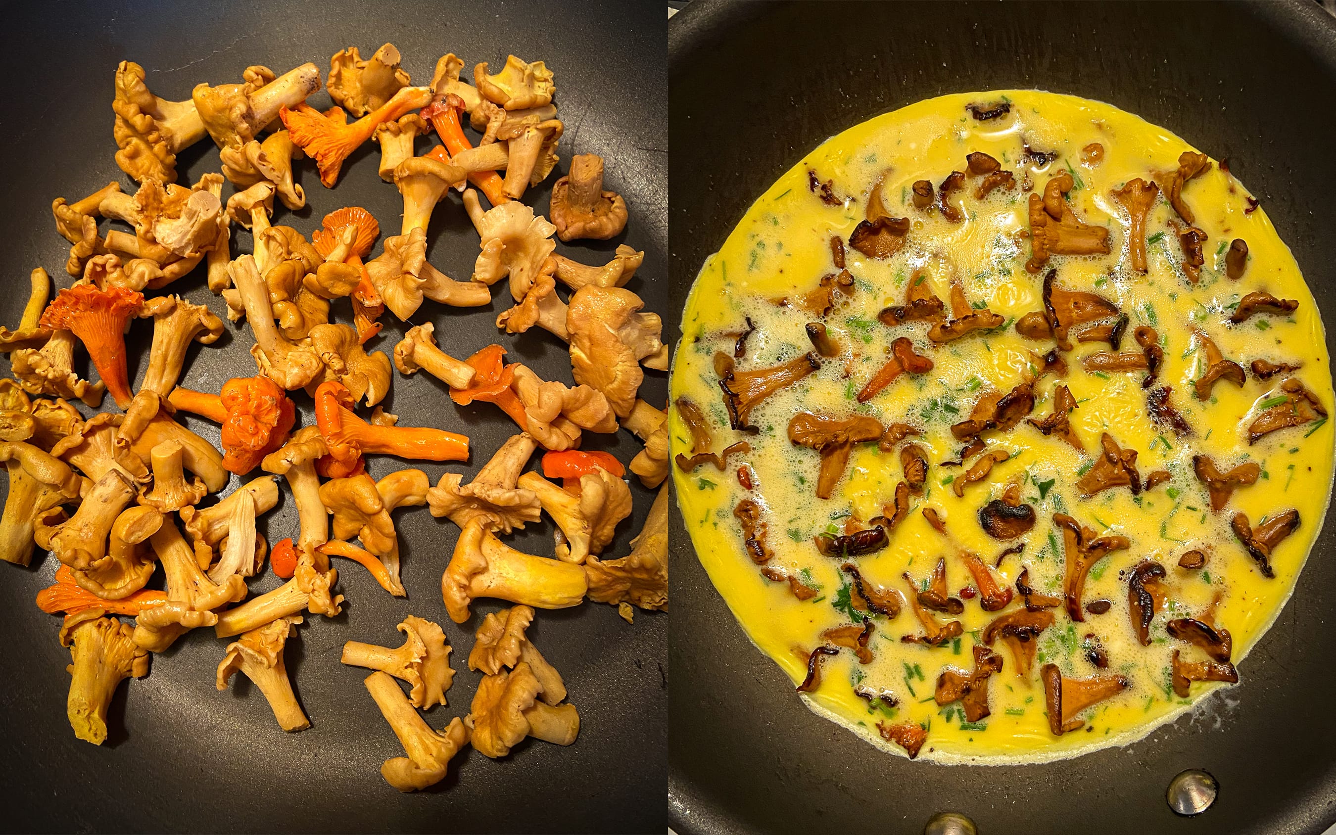 Chanterelle Omelette | Recipe by FUNGIWOMAN