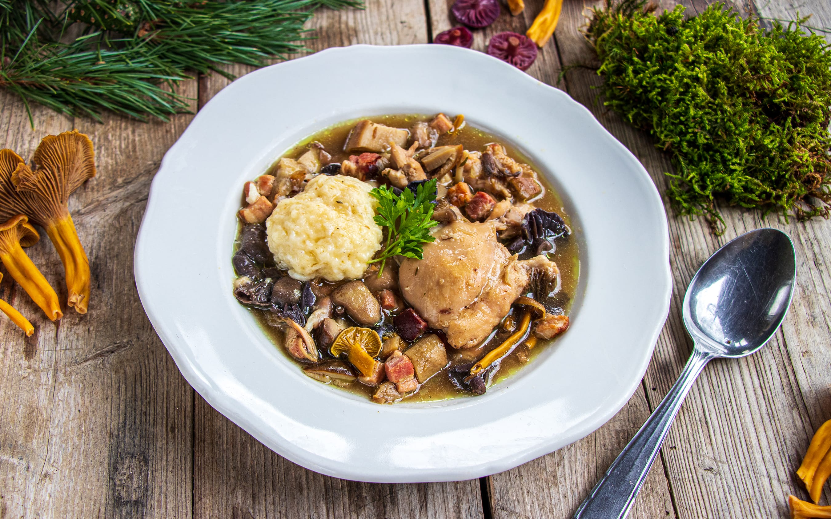 Chicken and Dumplings with Wild Mushrooms | Recipe by FUNGIWOMAN