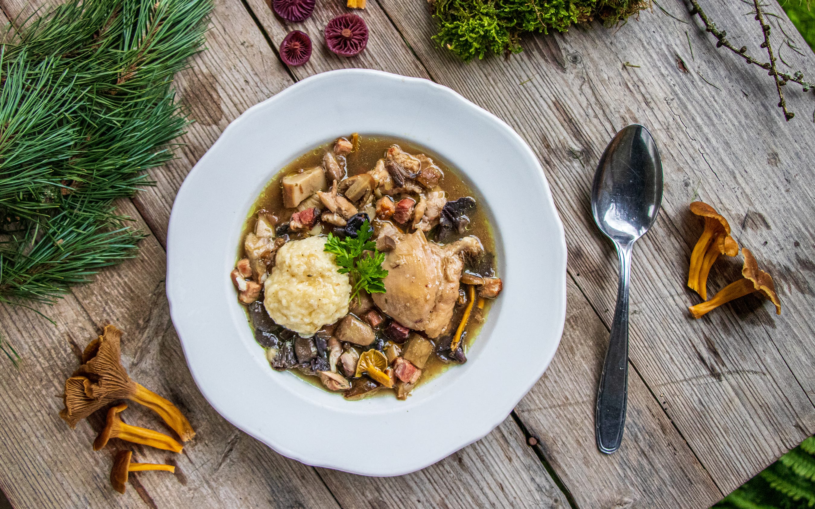 Cortinarius caperatus and Laccaria amethystina | Chicken and Dumplings with Wild Mushrooms | Recipe by FUNGIWOMAN