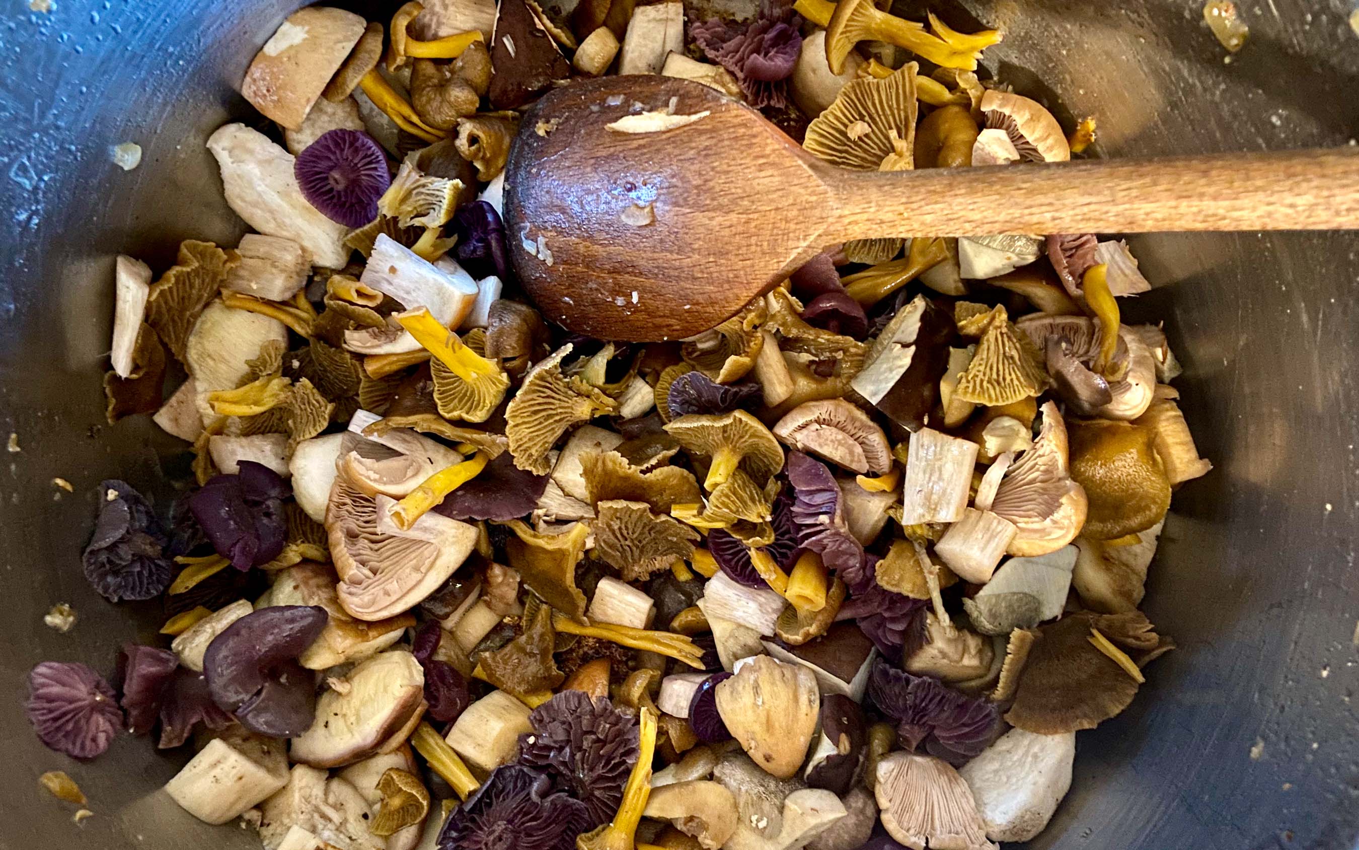 Cut up mushrooms in a pot | Chicken and Dumplings with Wild Mushrooms | Recipe by FUNGIWOMAN