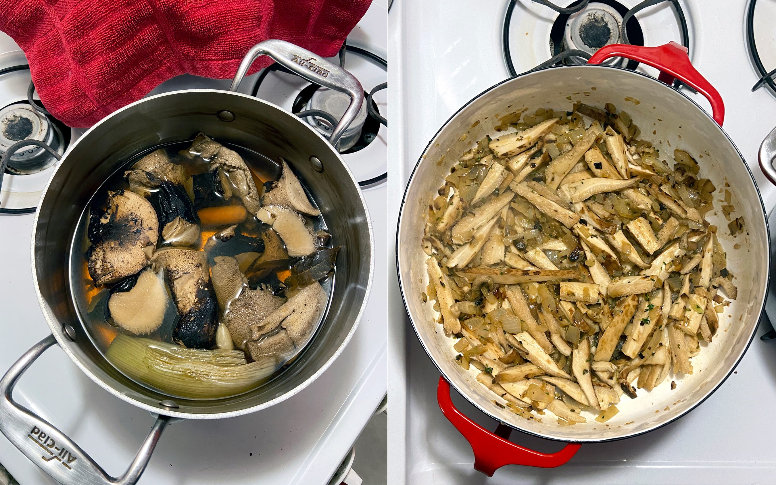 Dryad's Saddle Soup | Recipe by FUNGIWOMAN