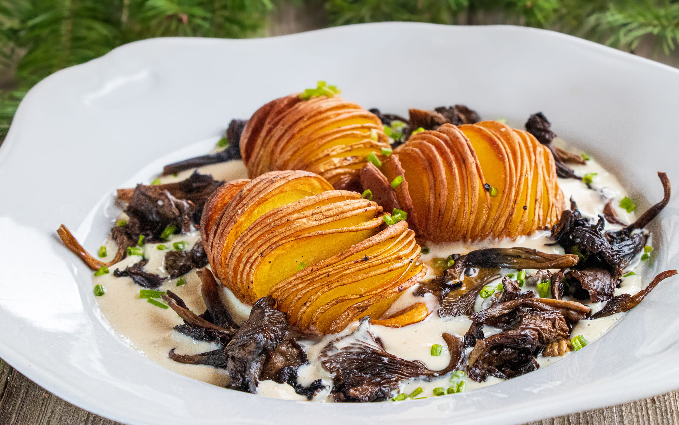 Yellowfoot Chanterelles - Craterellus tubaeformis | Hasselback Potatoes in Garlic Sauce with Mushrooms  – Recipe by FUNGIWOMAN