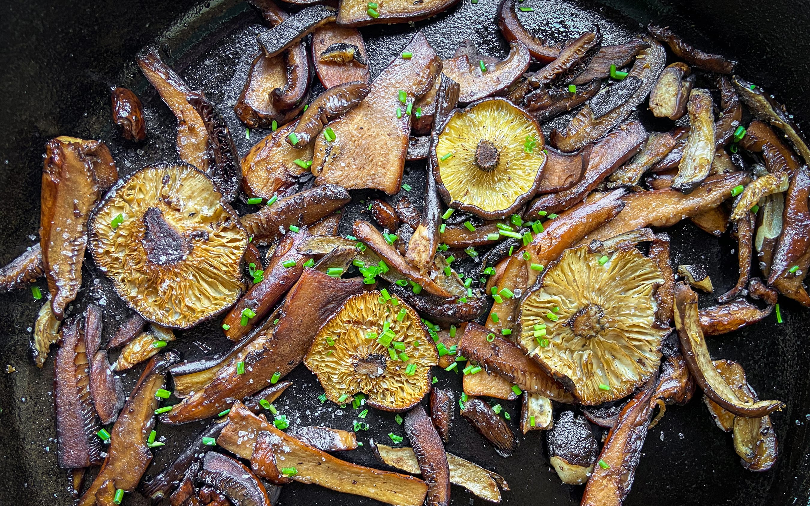 Sautéed Milkcaps | Recipe by FUNGIWOMAN