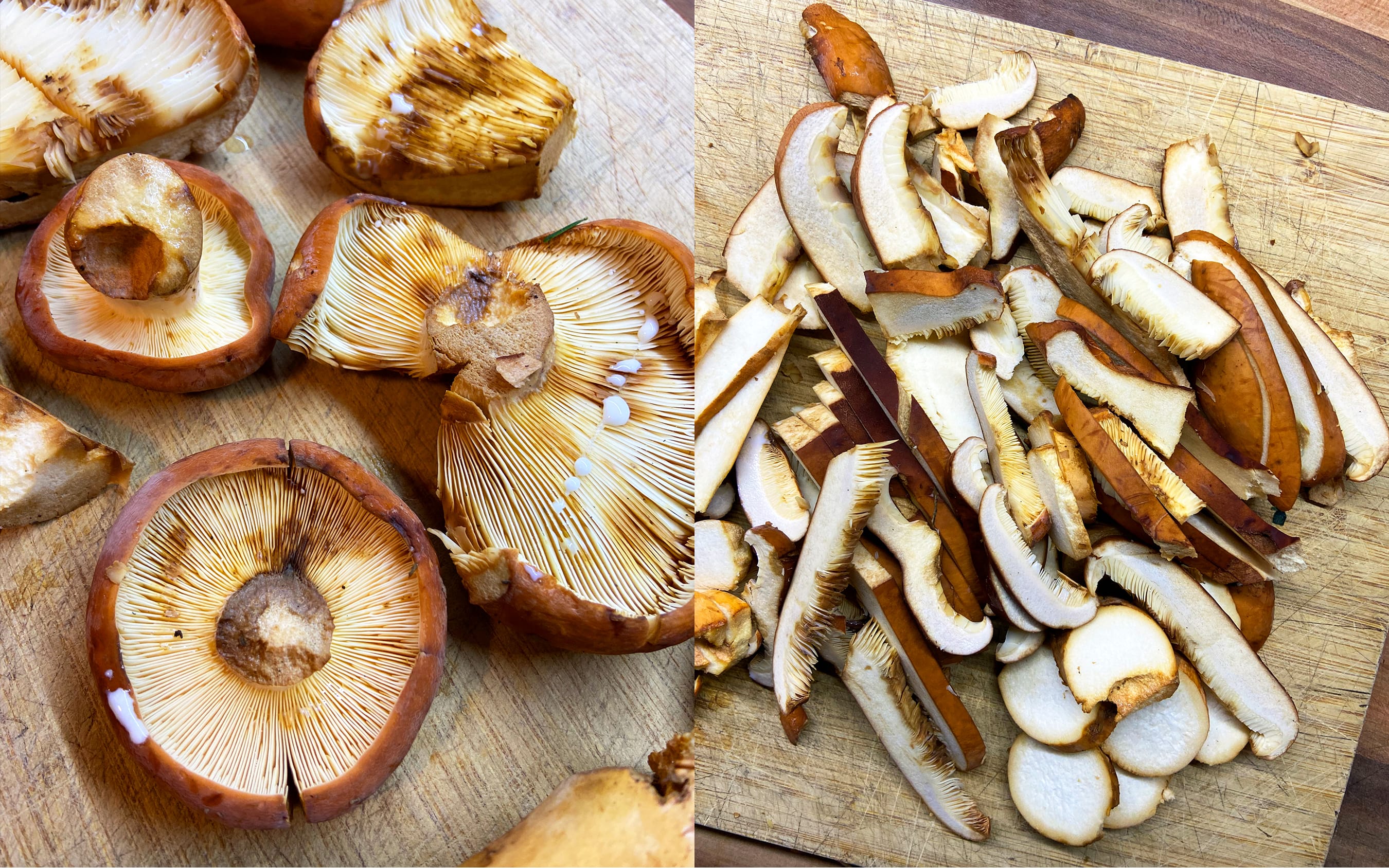 Sliced fishy milkcaps | Sautéed Milkcaps | Recipe by FUNGIWOMAN