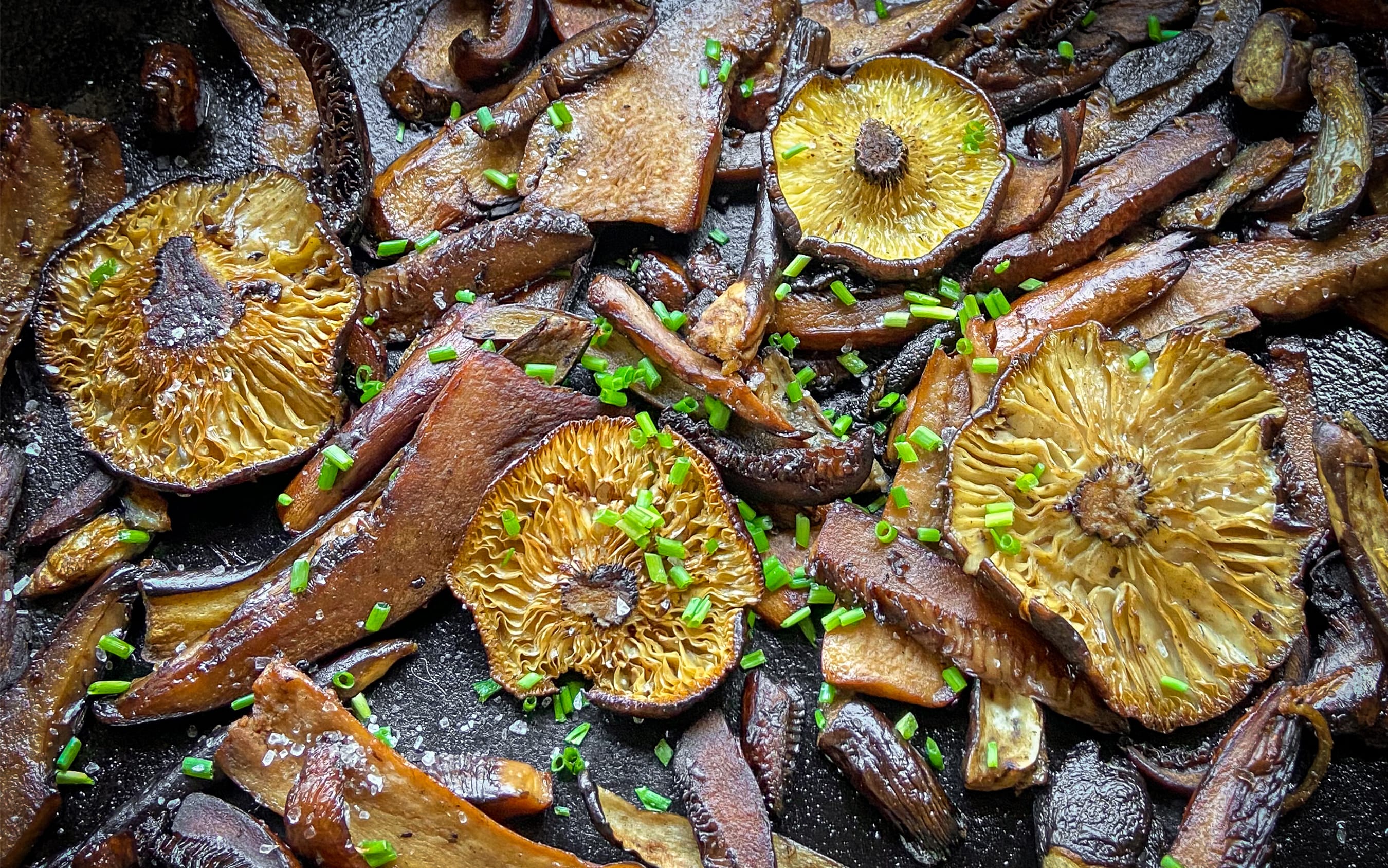 Sautéed Milkcaps | Recipe by FUNGIWOMAN