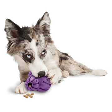PetSafe Busy Buddy Elephunk Dog Chew Toy - Treat Dispenser