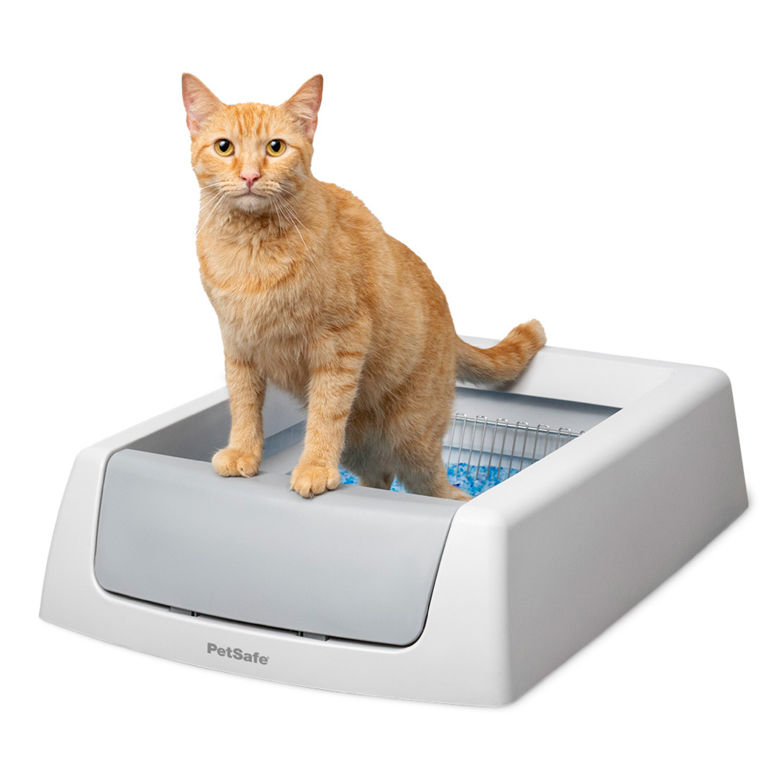 ScoopFree® Crystal Classic Self-Cleaning Litter Box