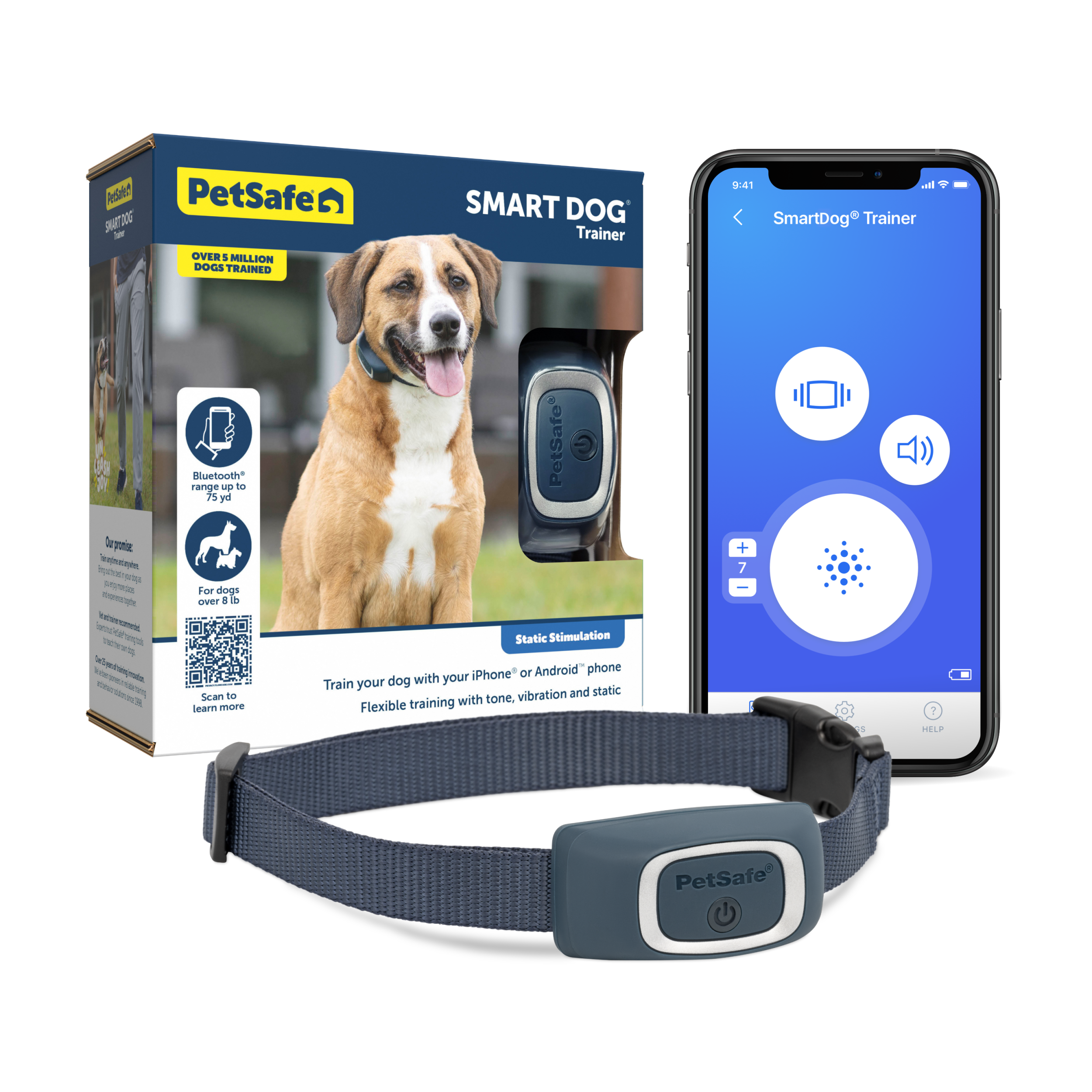 Best dog sales trainer device