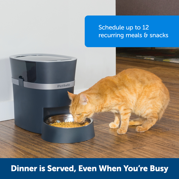 Can you rely on an automatic cat feeder?