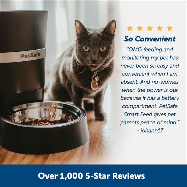 PetSafe Healthy Automated Pet Feeder for Cats and Dogs - Black