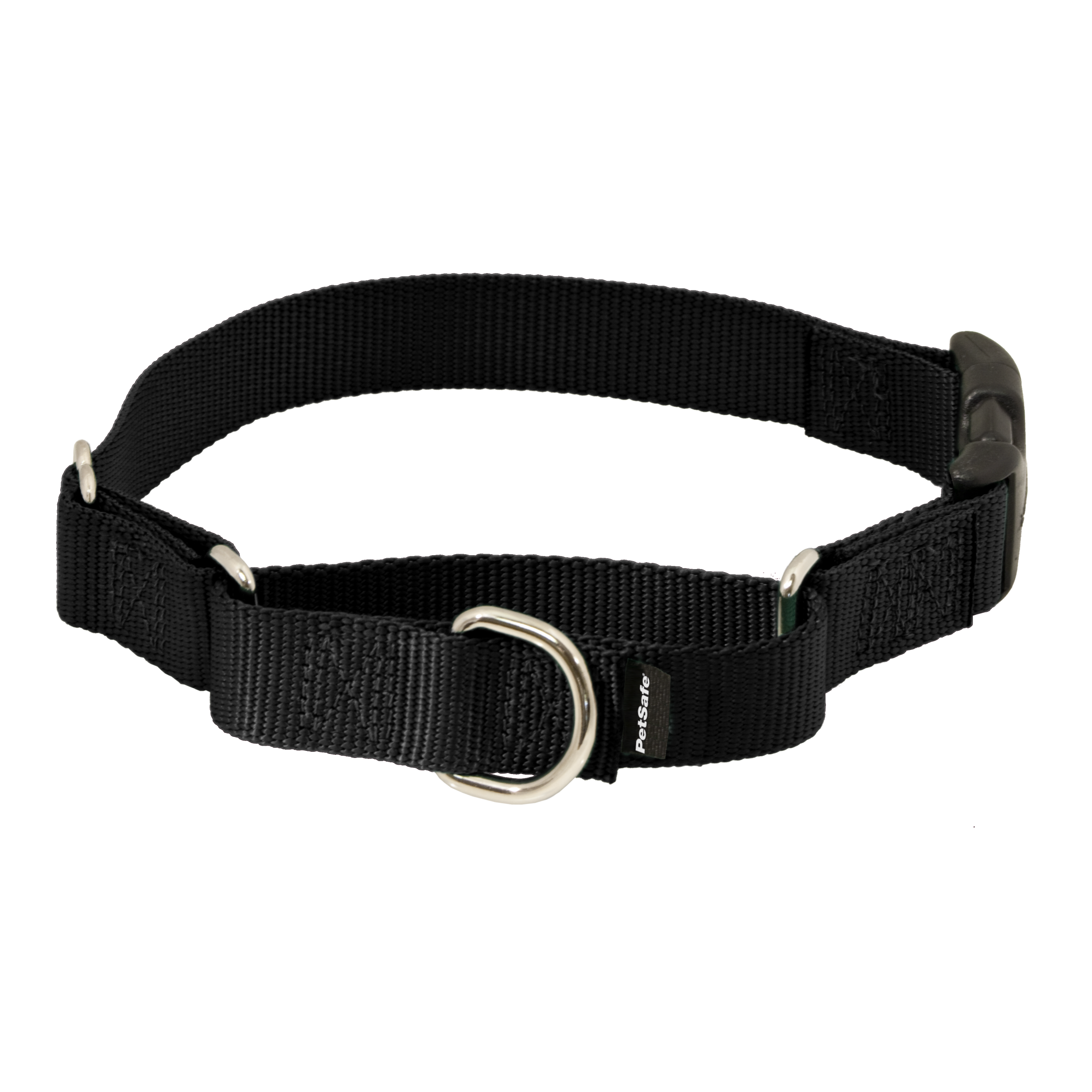 Martingale Collar with Quick Snap Buckle