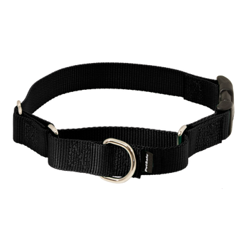 Martingale Collar with Quick Snap Buckle