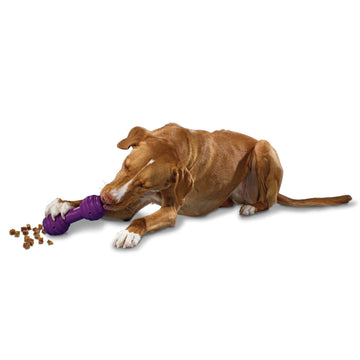 PetSafe Busy Buddy Nobbly Nubbly Treat Holding Dog Toy – Strong
