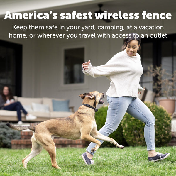 Stay & Play® Wireless Fence for Stubborn Dogs