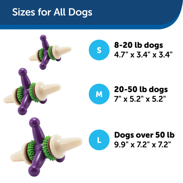 Busy Buddy Bristle Bone (Large)