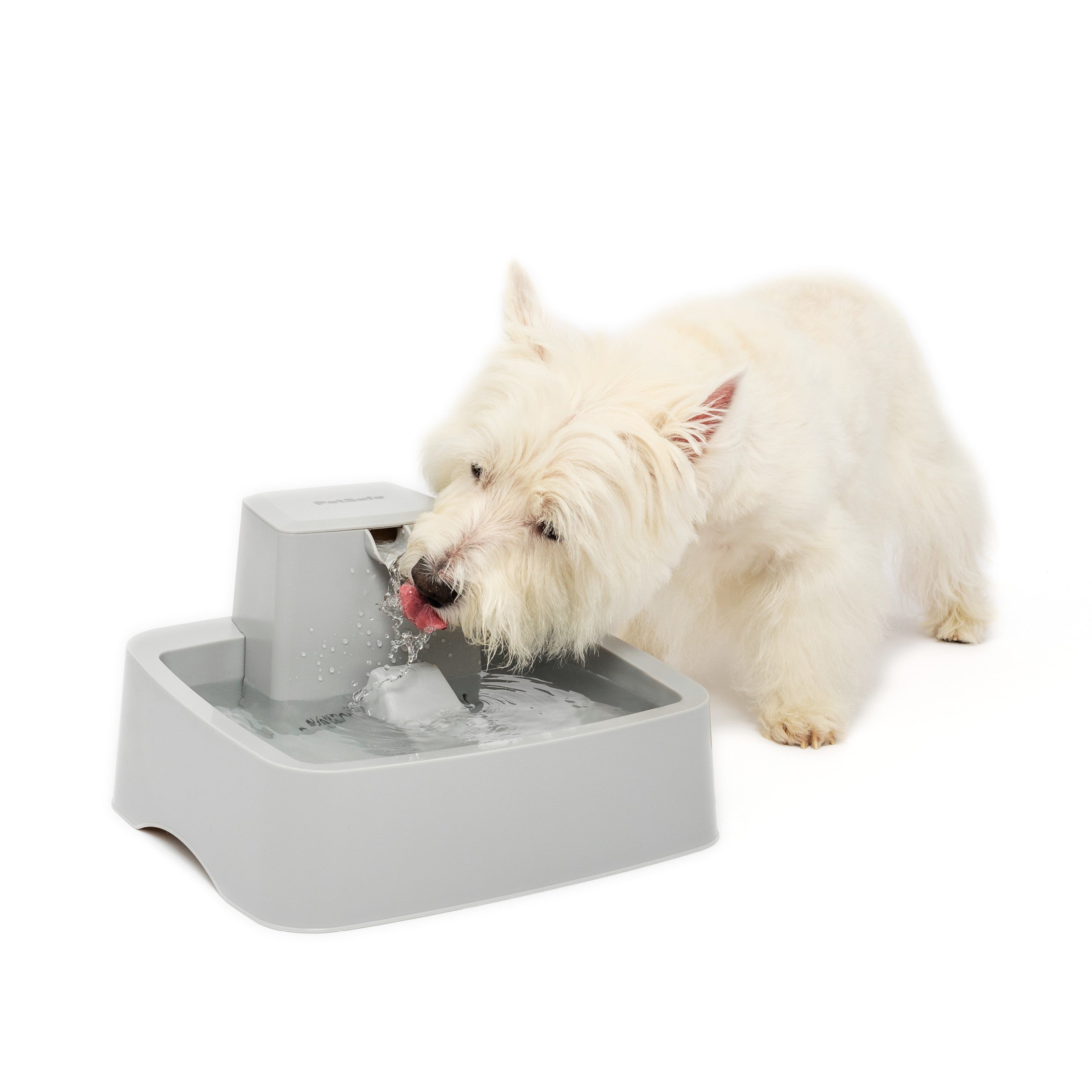 Drinkwell® 1 Gallon Pet Fountain