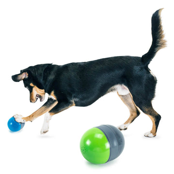 PetSafe Busy Buddy Chompin' Chicken Dog Toys – Treat Ring Holding Chew –  Benson's Pet Center