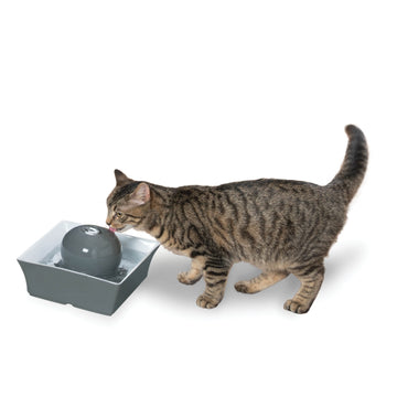 PetSafe ZWW00-16558 Drinkwell 2 Gallon Pet Fountain