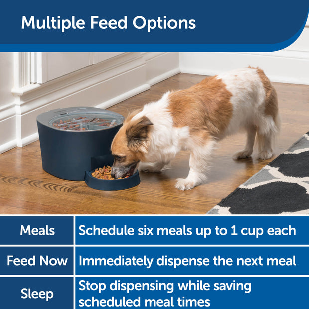 PetSafe Six Meal Automatic Pet Feeder
