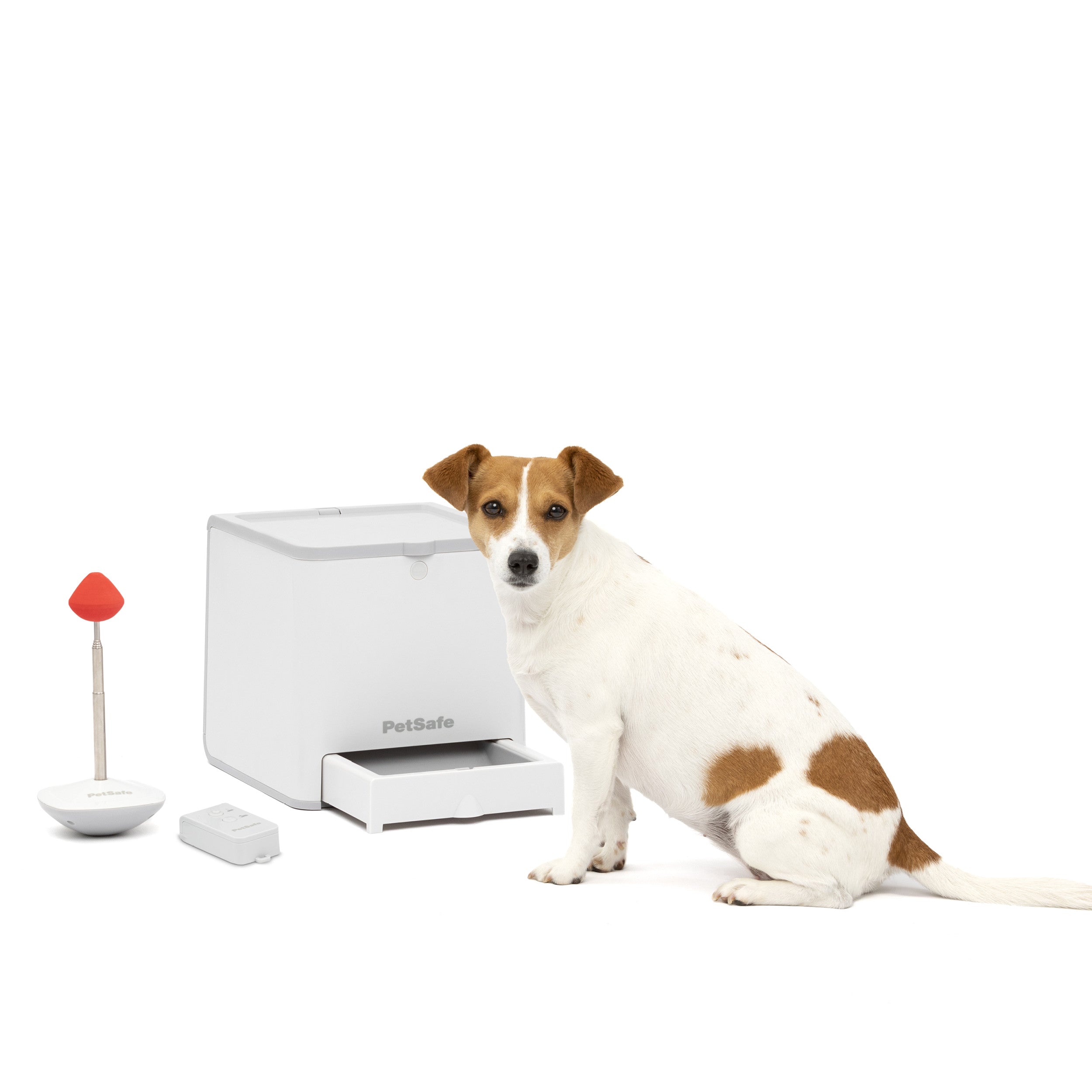 Dog Treat Dispenser Toy With Button - Modern Pets