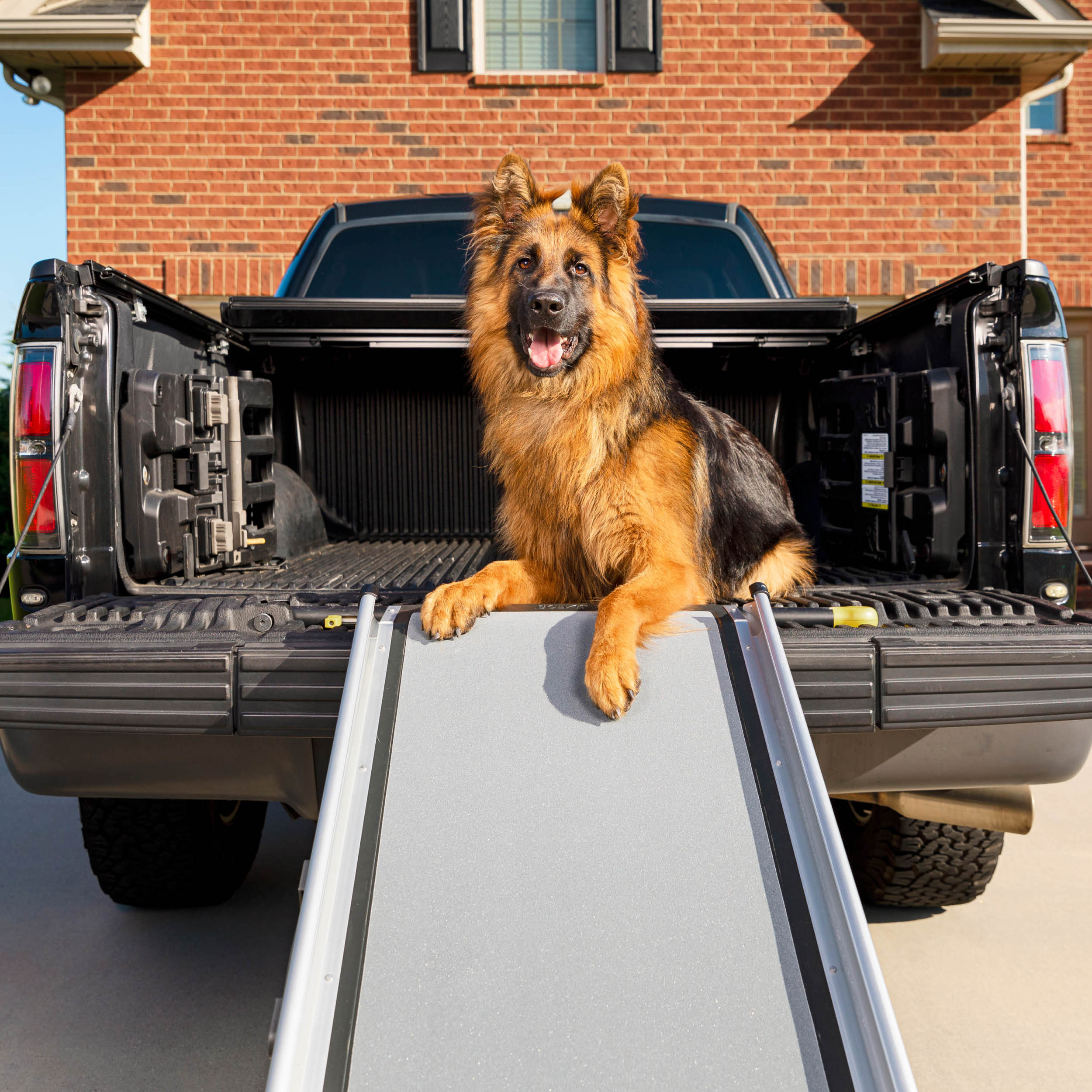 Safest Dog Car Harnesses and Pet Travel Carriers and Crates