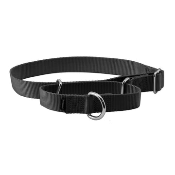 Martingale Collar