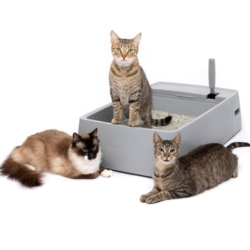 Multi-Cat Litter Box