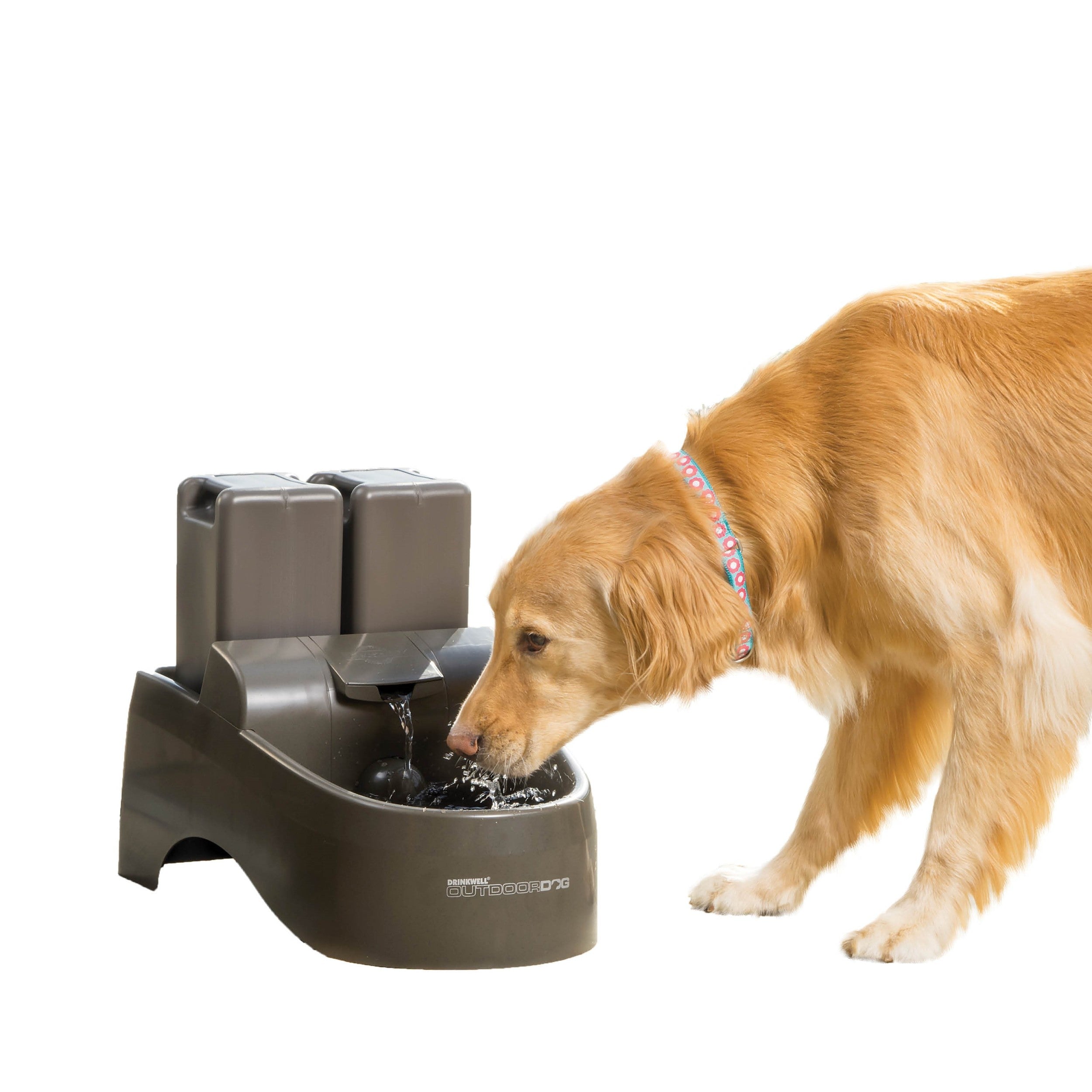 Drinkwell® 1 Gallon Pet Fountain
