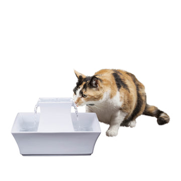 The 7 Best Cat Water Fountains of 2024, Tested and Reviewed