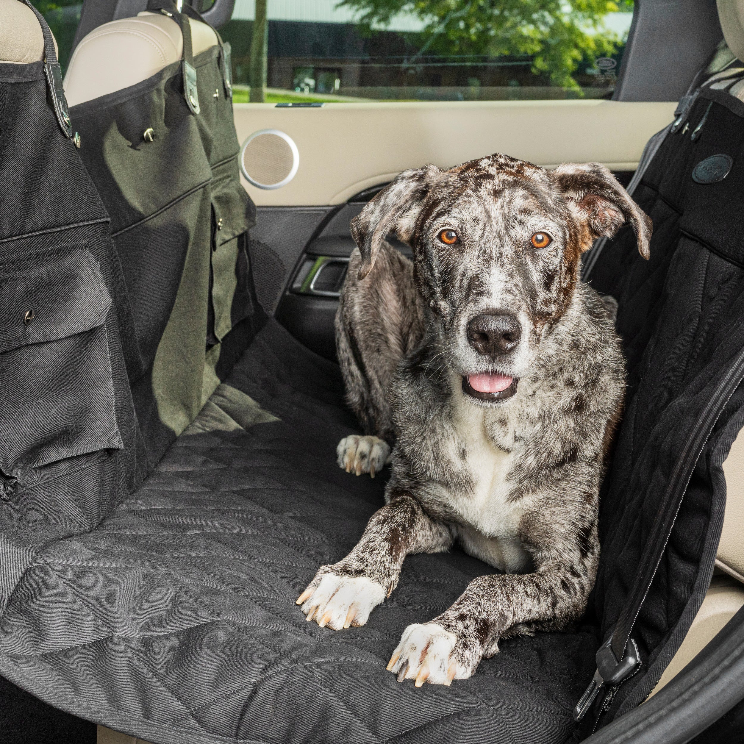 Back Seat Pet Hammock - Free Shipping