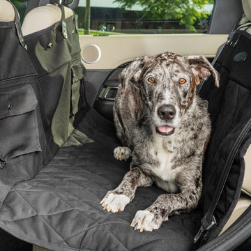 Cesta acolchada para el coche Happy Ride™ de PetSafe® – PetSafe® Spain