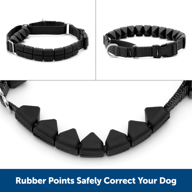 Black Dog collar