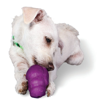 Petsafe Busy Buddy Tug-A-Jug Meal-Dispensing Dog Toy Use with Kibble o –  KOL PET