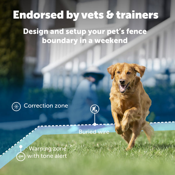  PetSafe Elite Little Dog In-Ground Pet Fence Receiver