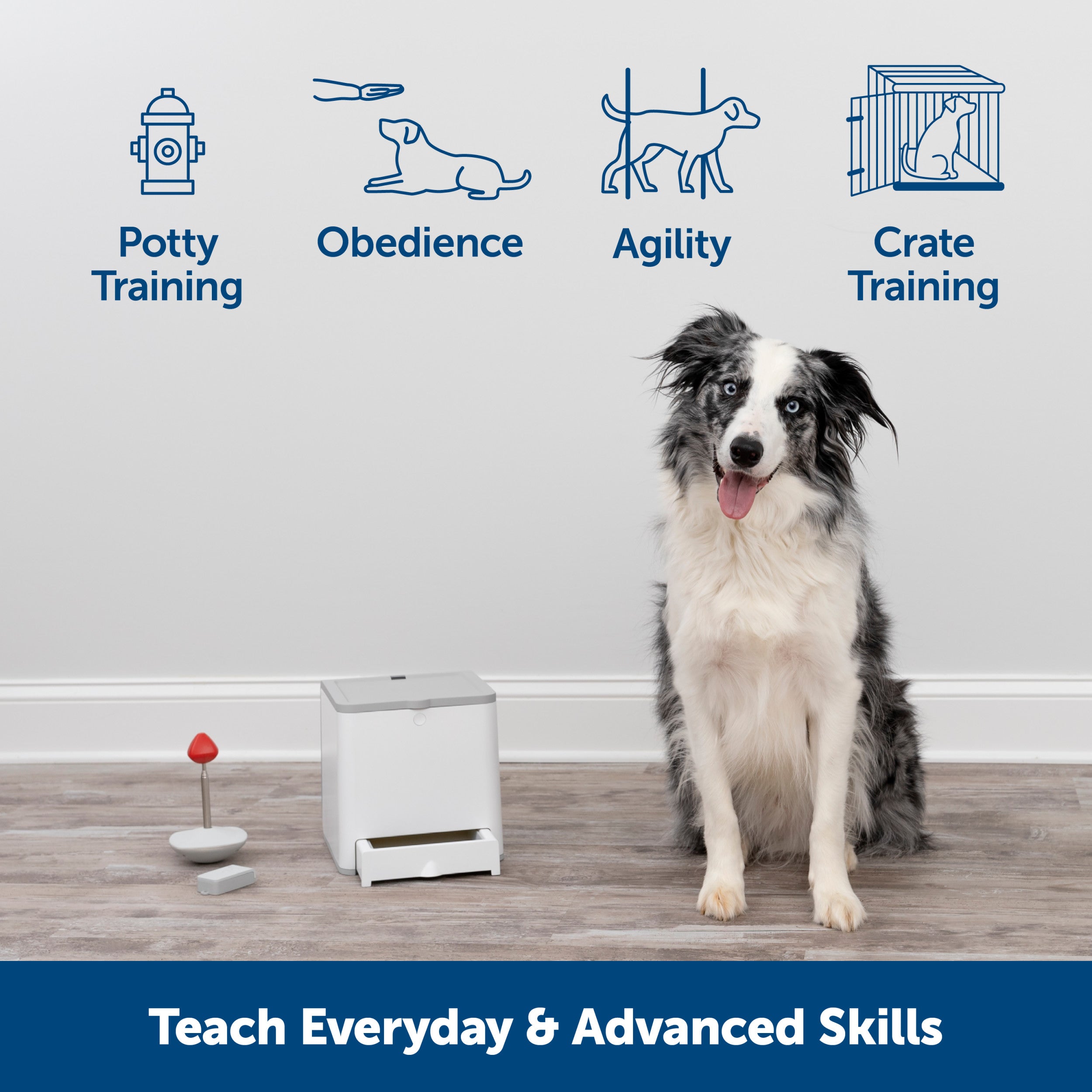 Teach & Treat Remote Reward Trainer | PetSafe®