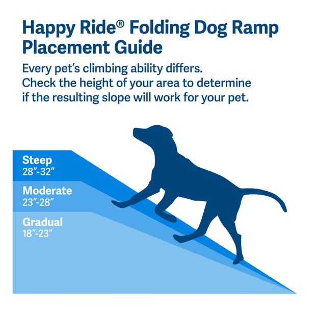 Are Dog Ramps Worth It? - We Break Down the Value & Benefits