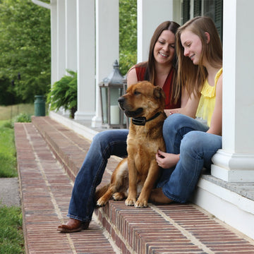 Big Dog Rechargeable Bark Control