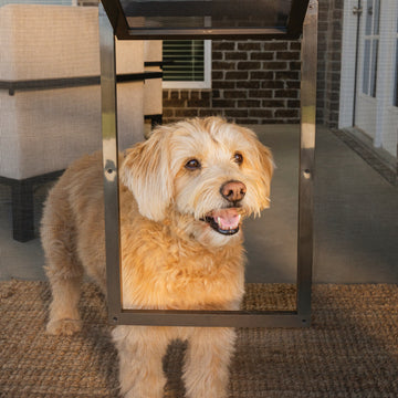 Pet Screen Door