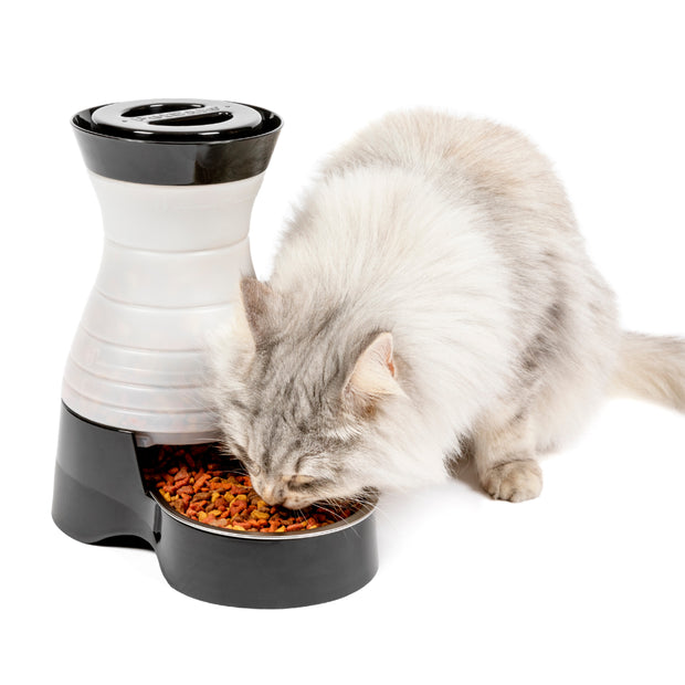 PETSAFE Healthy Pet Food Station Gravity Refill Dog & Cat Feeder