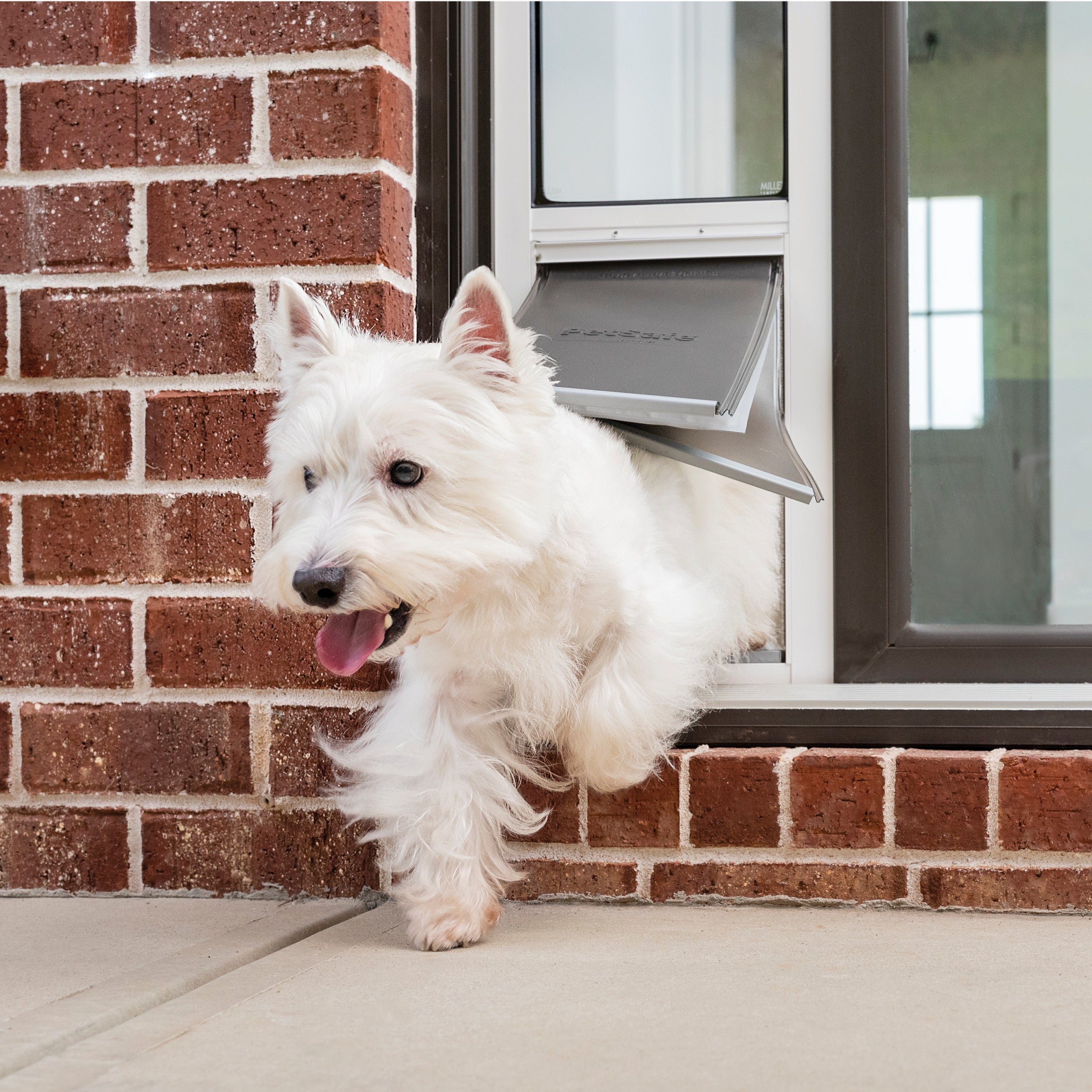 Best Dog Door for Sliding Glass Doors - Locking Pet Dog Door for Glass