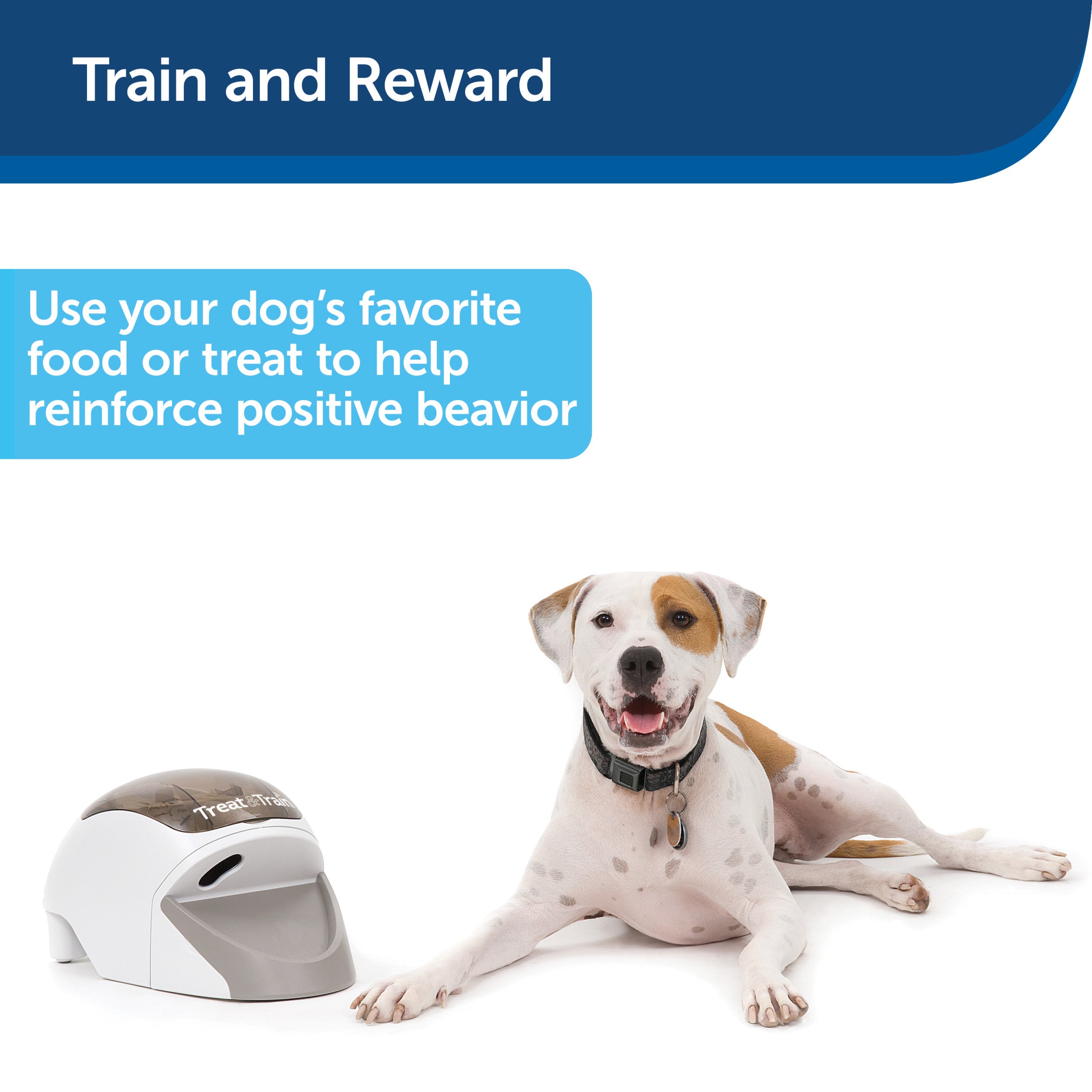 Treat & Train™ Remote Reward Dog Trainer | PetSafe®