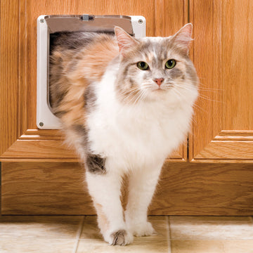 Interior 2-Way Locking Cat Door